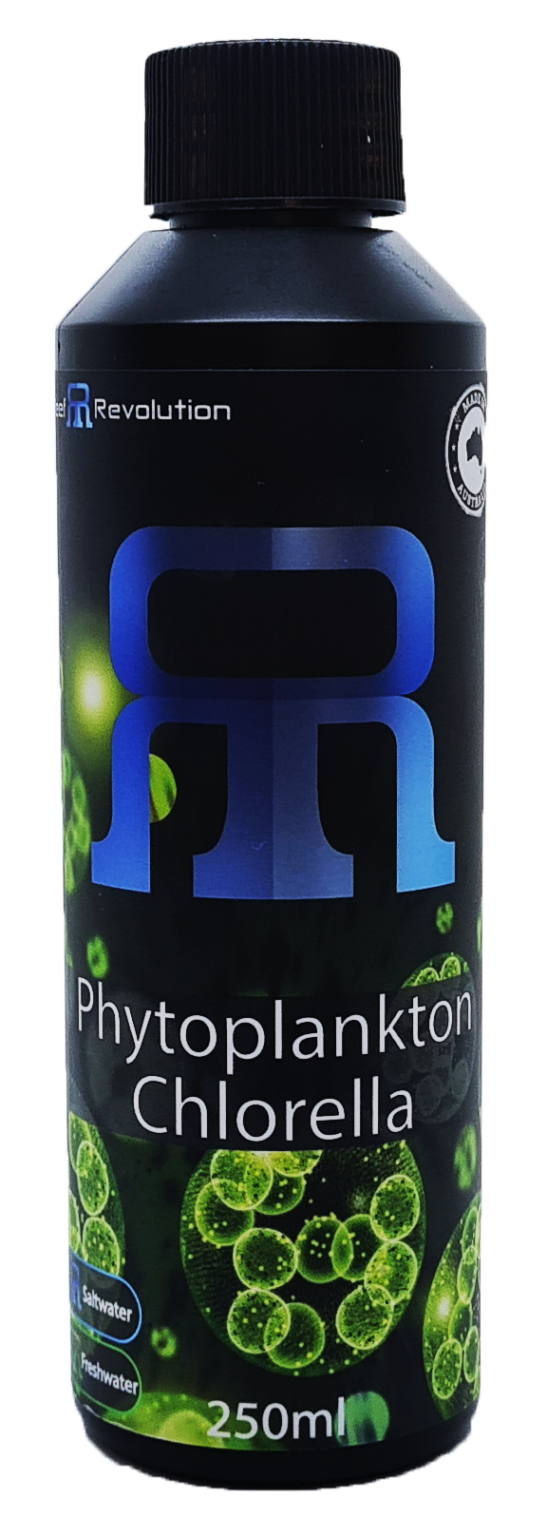 Phytoplankton Chlorella