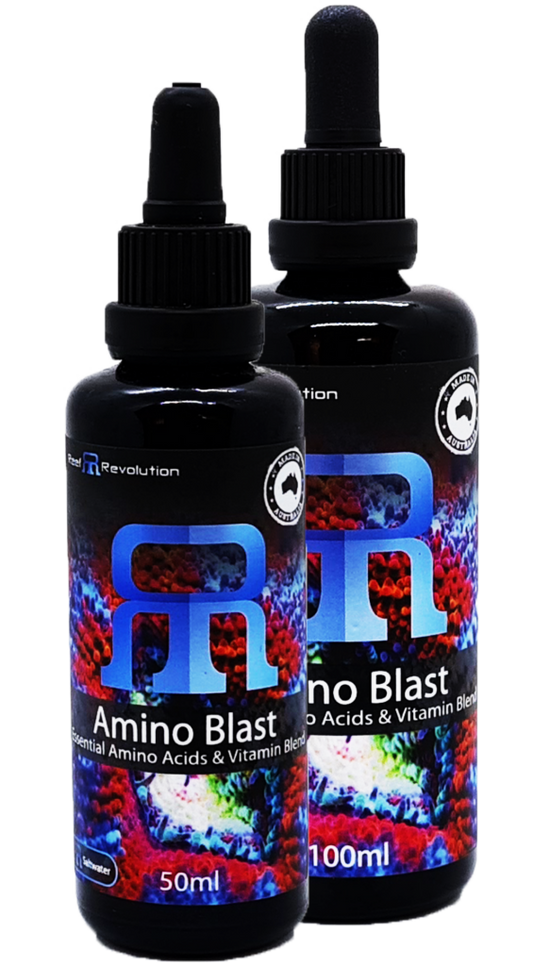 Amino Blast