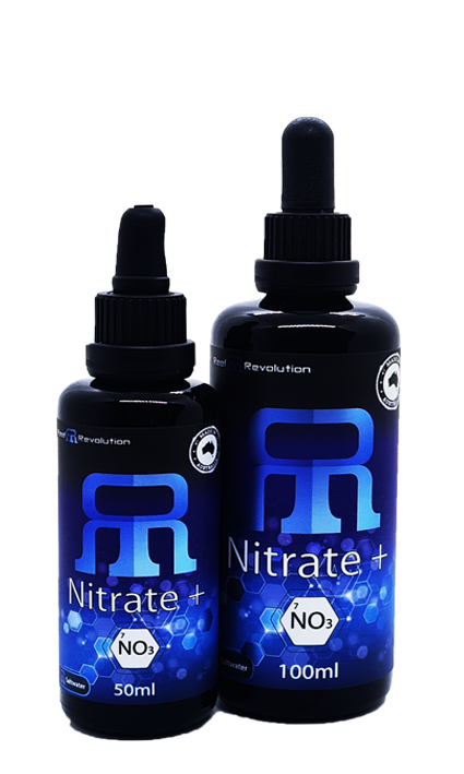 Nitrate +