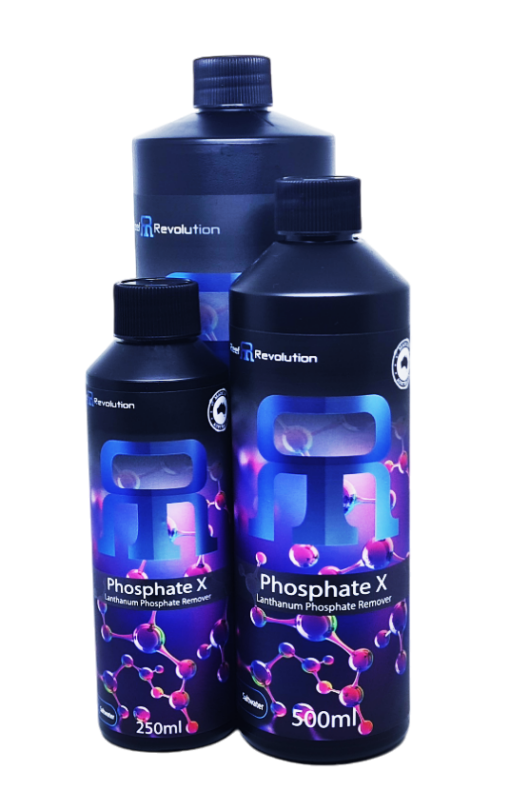 Phosphate X