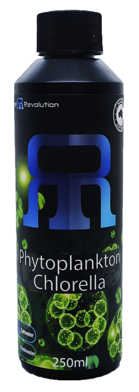Phytoplankton Chlorella