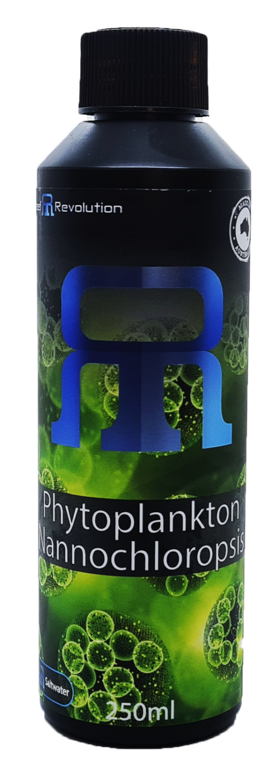 Phytoplankton Nannochloropsis
