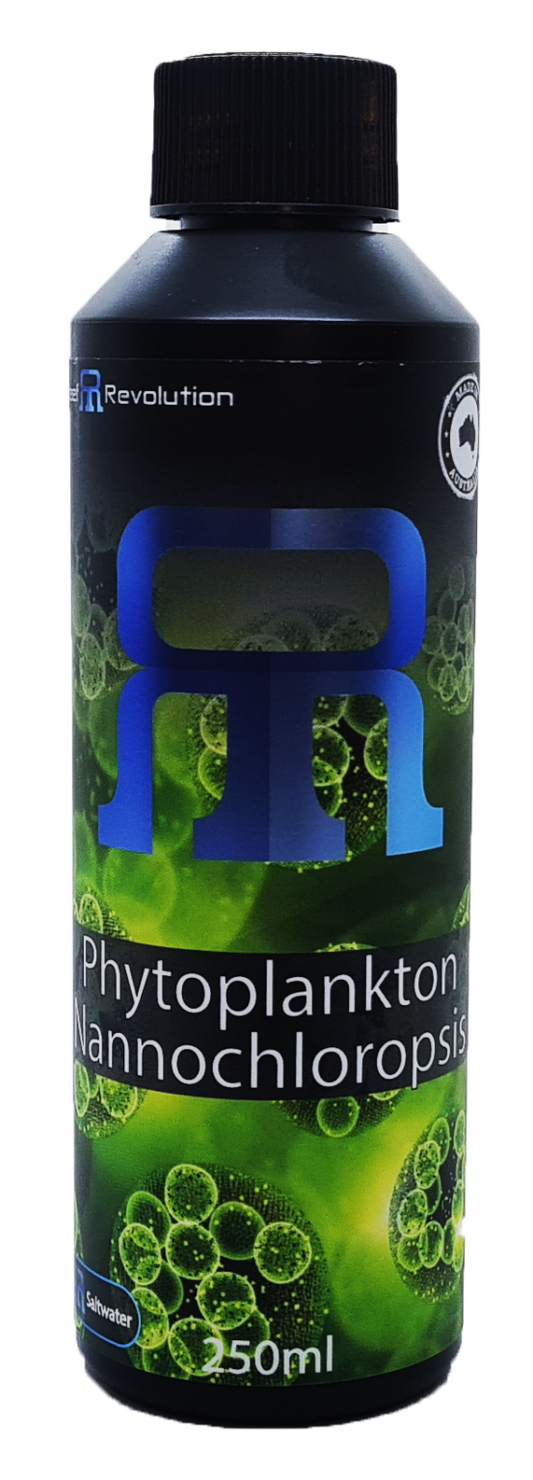Phytoplankton Nannochloropsis