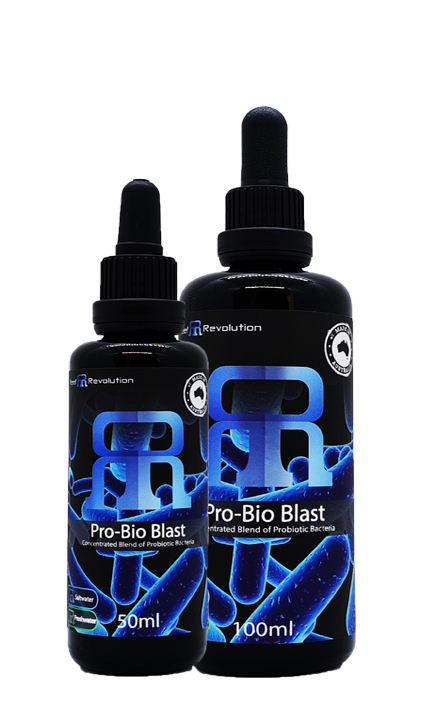Pro-Bio Blast